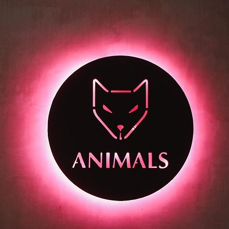 Animals Otel Ahangama Dış mekan fotoğraf